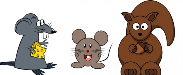 Rodent Control Erdye's Pest Control