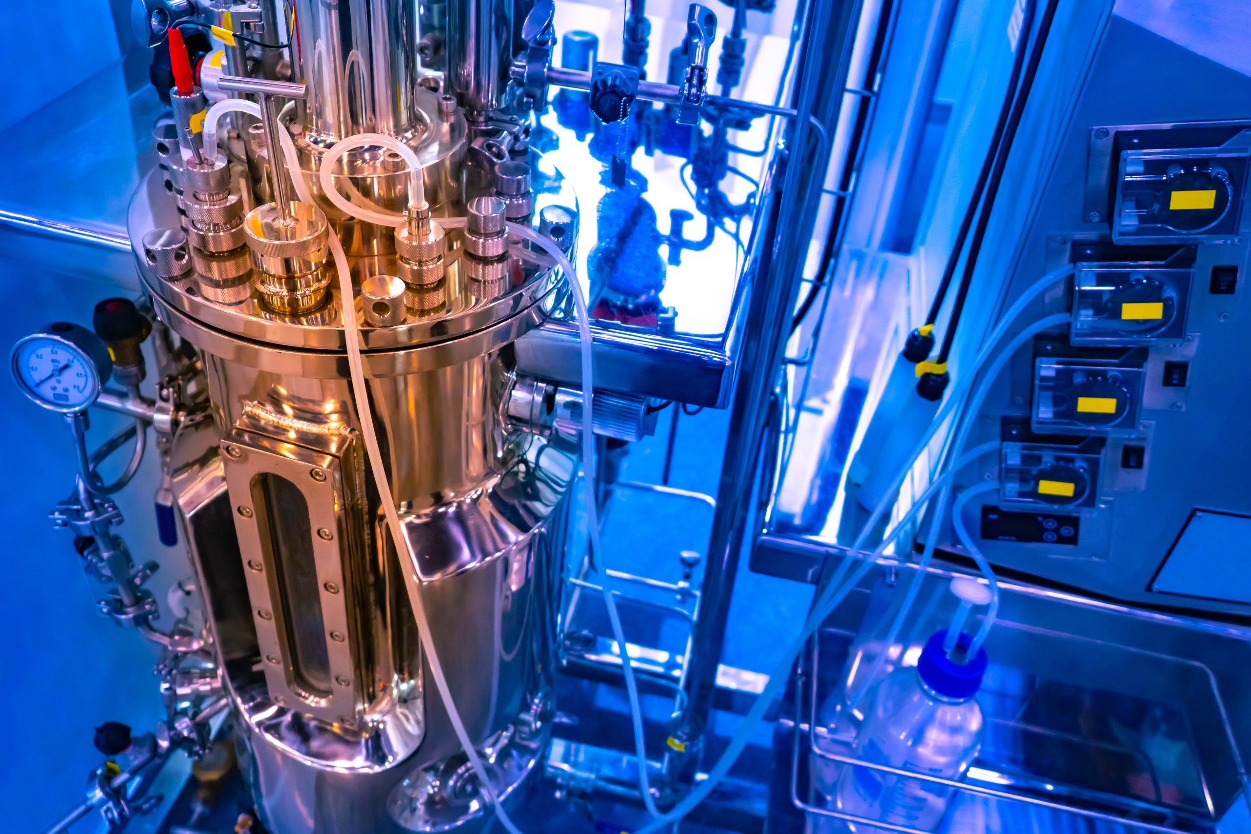 Alternative proteins, part 3 Biomanufacturing, Fermentation Erdyn