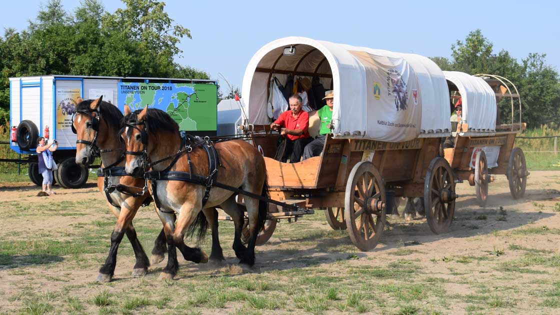 PferdeTreck bringt Friedensglocke nach Russland ERF.de