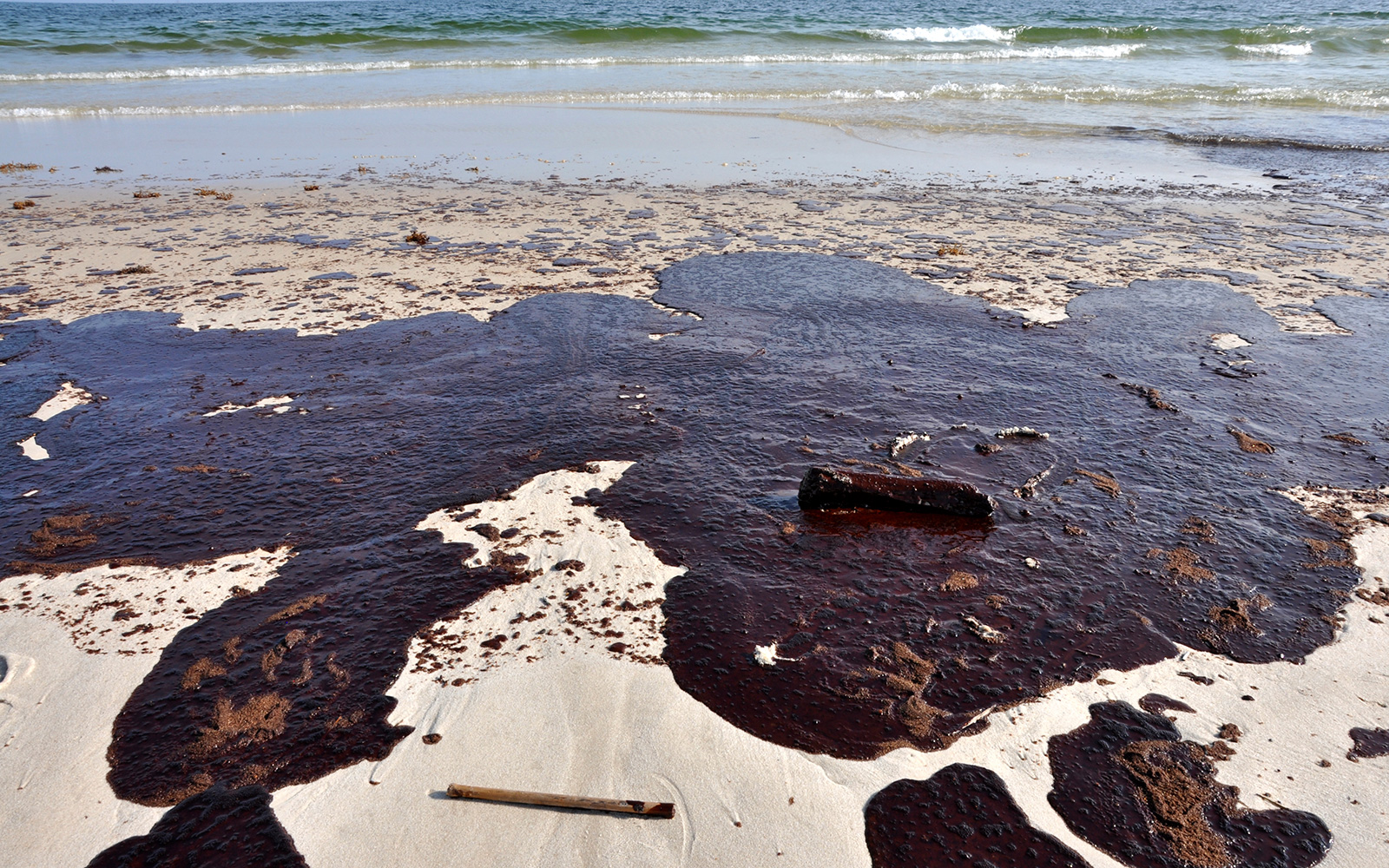 Gulf Oil Spill Emergency Response ERG (Eastern Research Group Inc.)