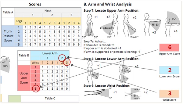 A StepbyStep Guide to the REBA Assessment Tool