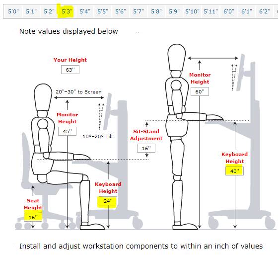How To Adjust SitStand Desk Converters For Petite Users 2020