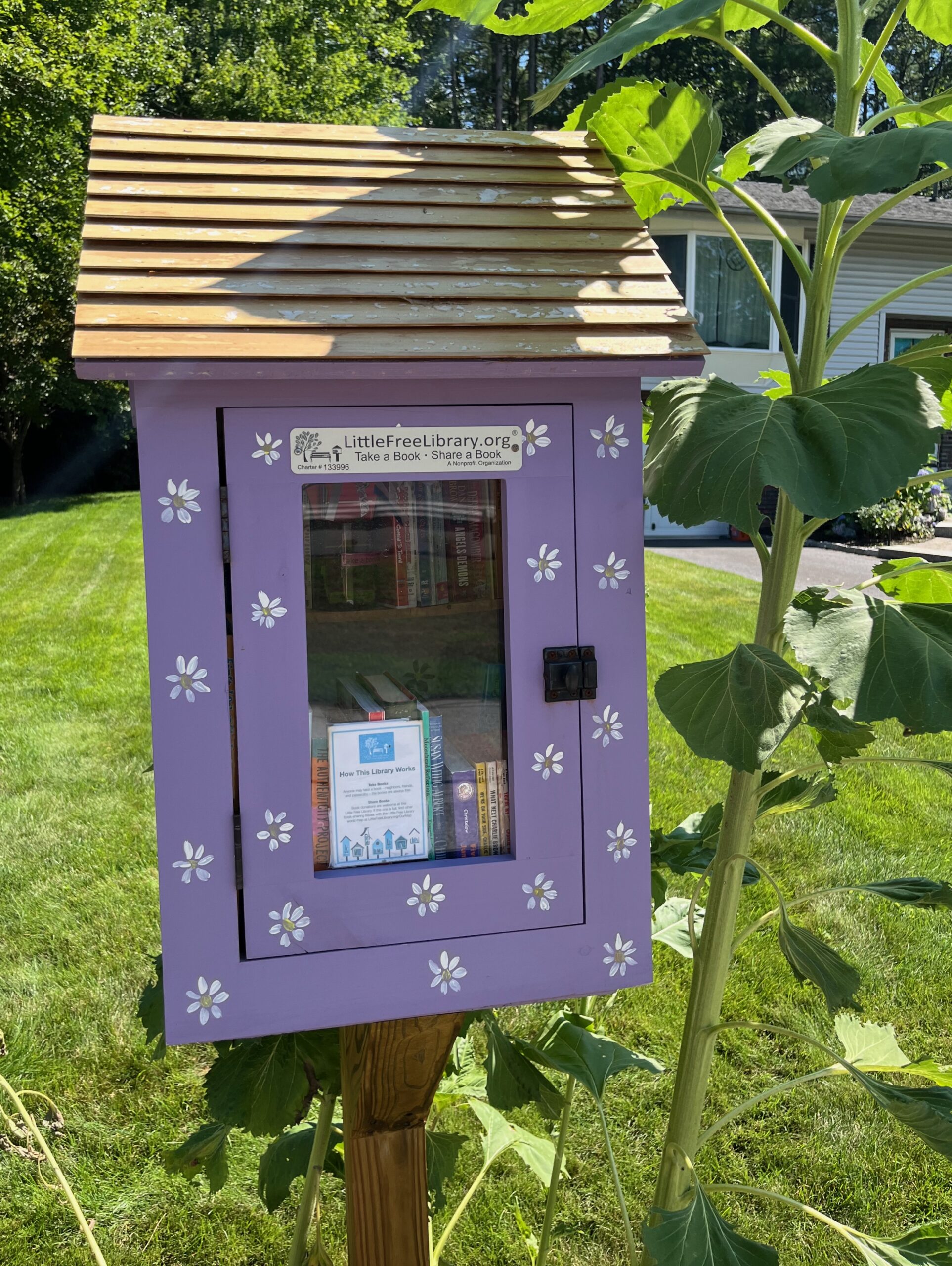 [Feature] Little Free Library Visit 10 Erica Robyn Reads