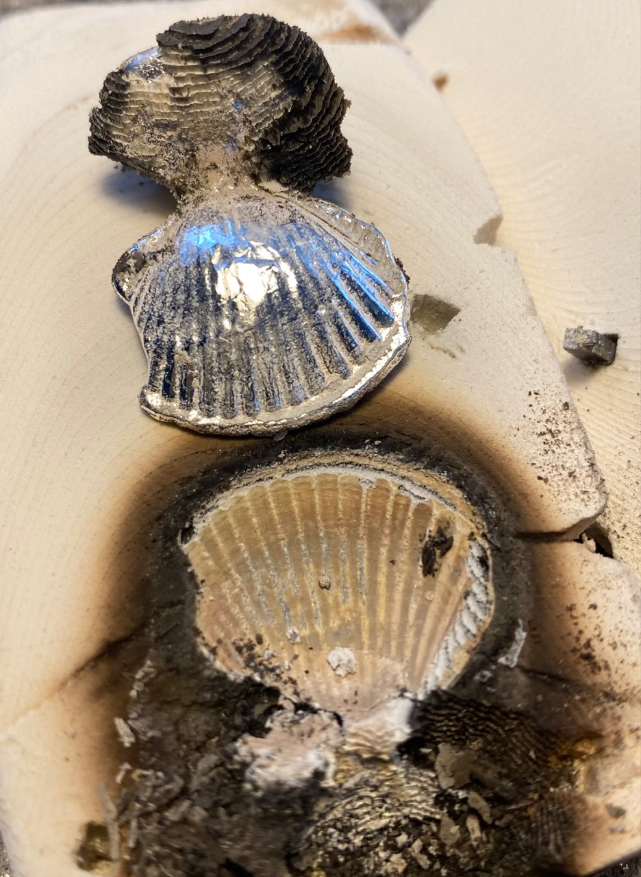 Cuttlefish Casting Erica Sharpe Bespoke Handmade Jewellery Made in