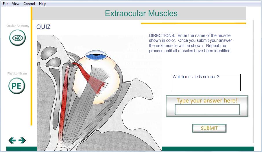 Ocular Anatomy Unit Instructional Design + Learning Science