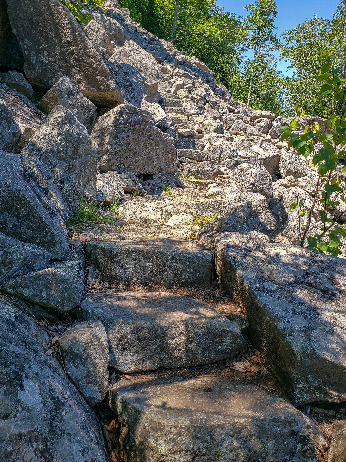 Perpendicular Trail to Mansell Mountain in Acadia Natnl Park