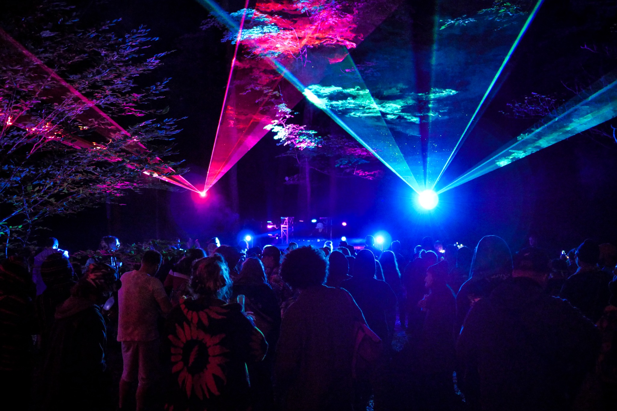 Fire Lights Music and Arts Festival Brings Big Names to Edinboro Erie