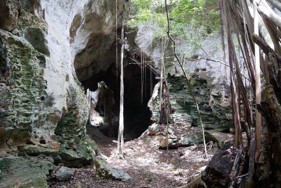 Things to Do in Eleuthera A Comprehensive Guide Erika's Travels