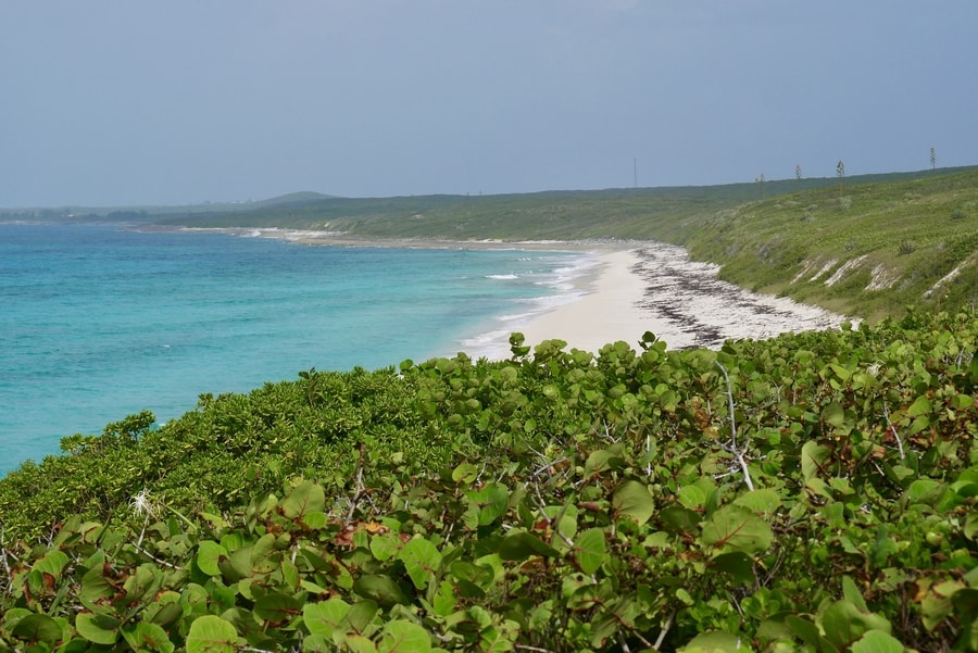 Things to Do in Eleuthera A Comprehensive Guide Erika's Travels