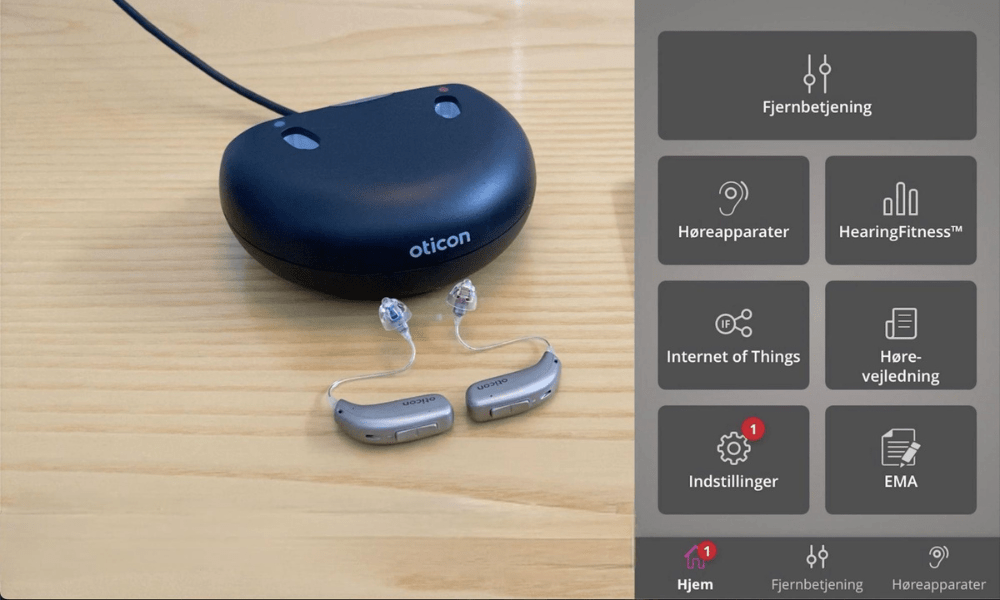 Hearing aid preferences for noise reduction and high frequency gain