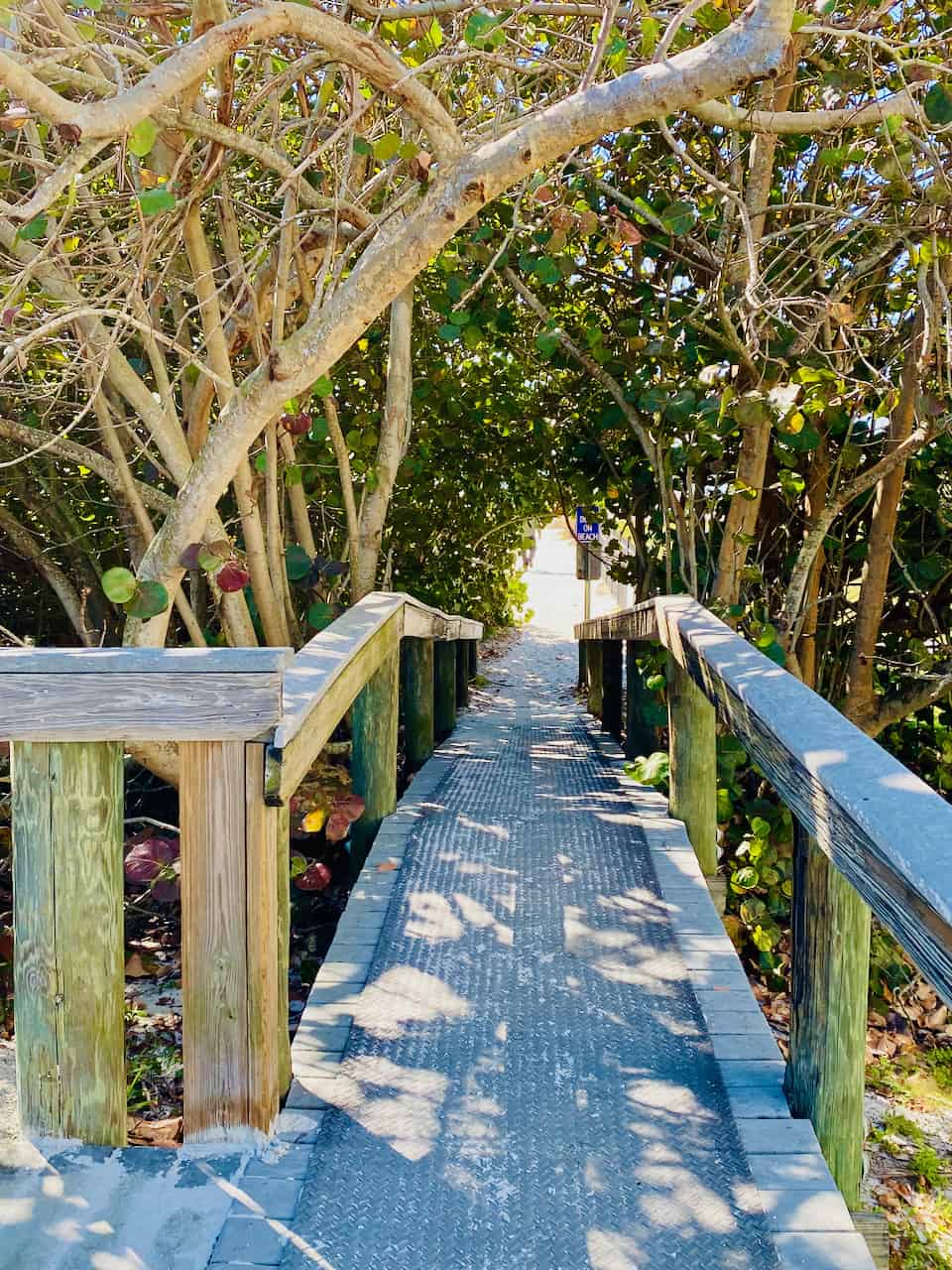 Upham Beach Park St Pete Beach Secrets Revealed by a Local