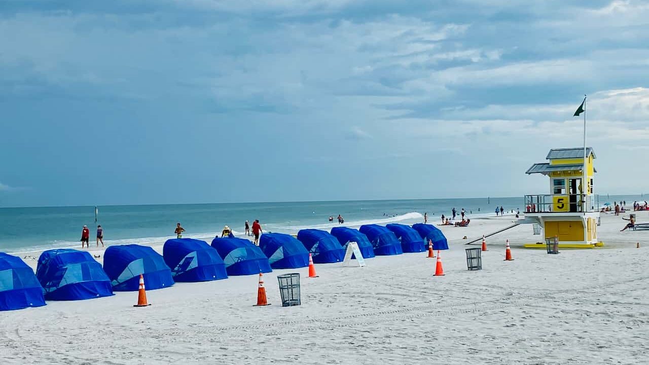 Are There Sharks in Clearwater Beach? 10 MUST Know Tips