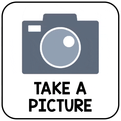 Free Digital Dice Activity Using Seesaw Icons Erintegration