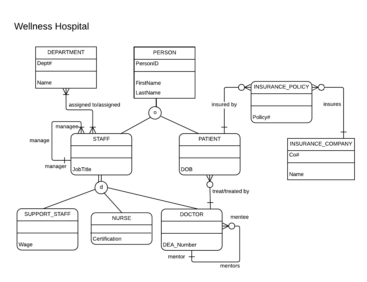 Er Diagram Entity Set