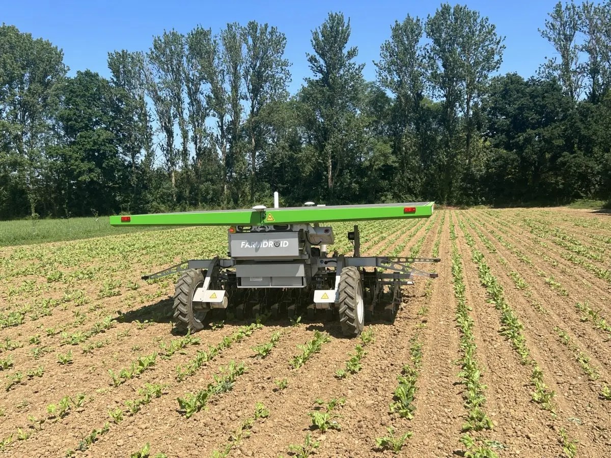 Ernest Doe & Sons' Quasquicentennial celebrating 125 years of service