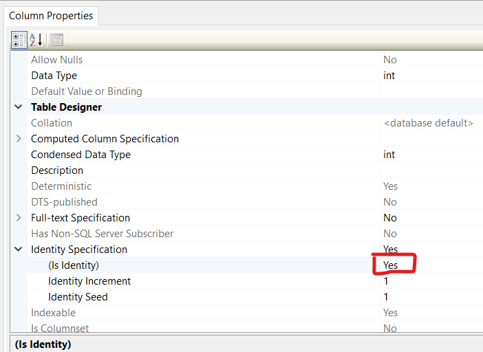 SqlException Cannot insert the value NULL into column 'Id', table 'dbo