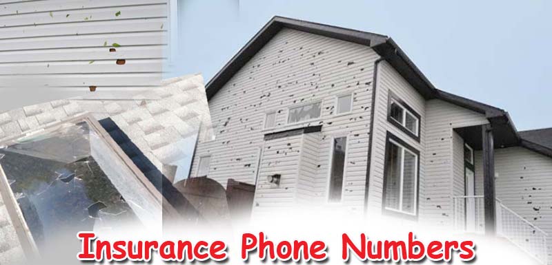 Name of insurance company list