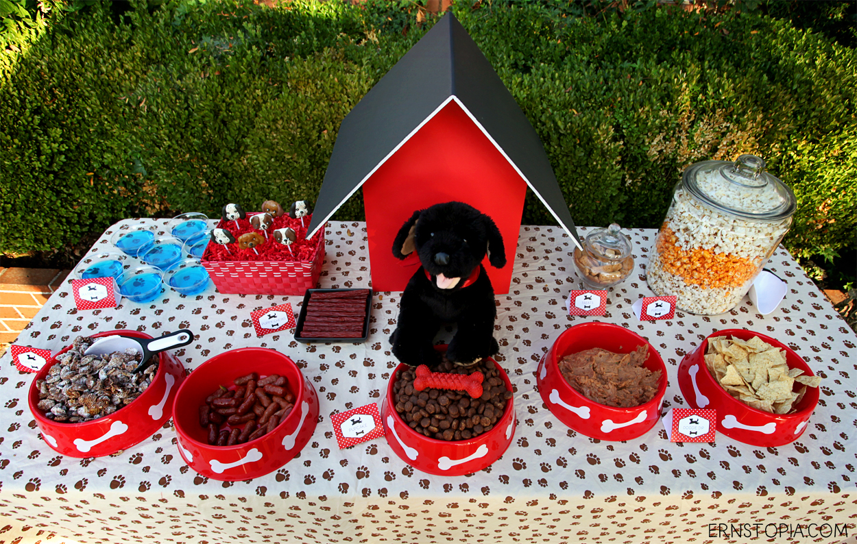 How to Throw a Great Dog Birthday Party with Items From the Dollar Tree