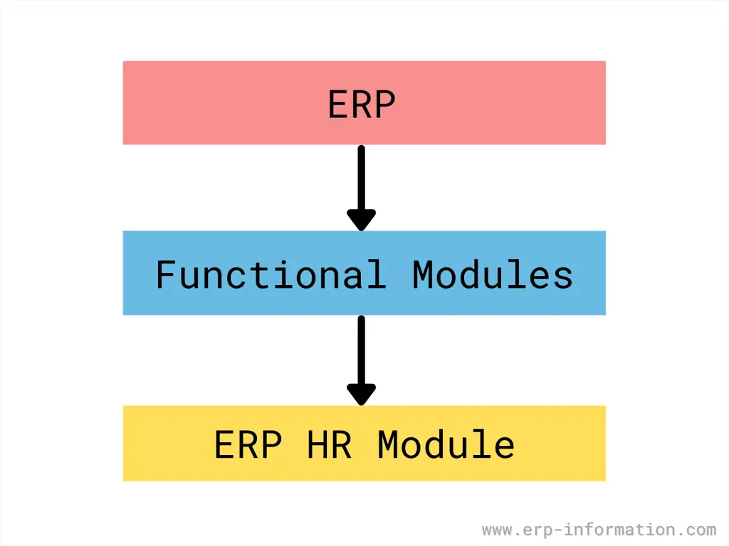 ERP HR Module 6 HRM submodules & Features Explained