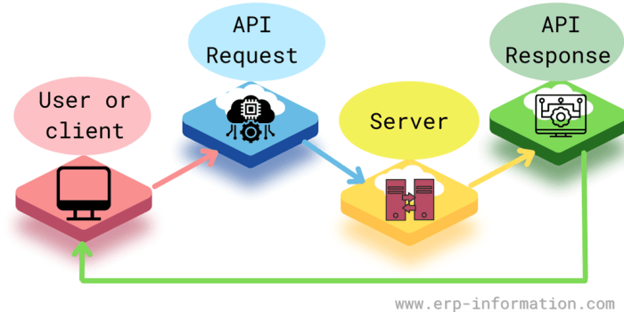 Application Programming Interface (api): Definition Types Examples - Vrogue What is api testing in software