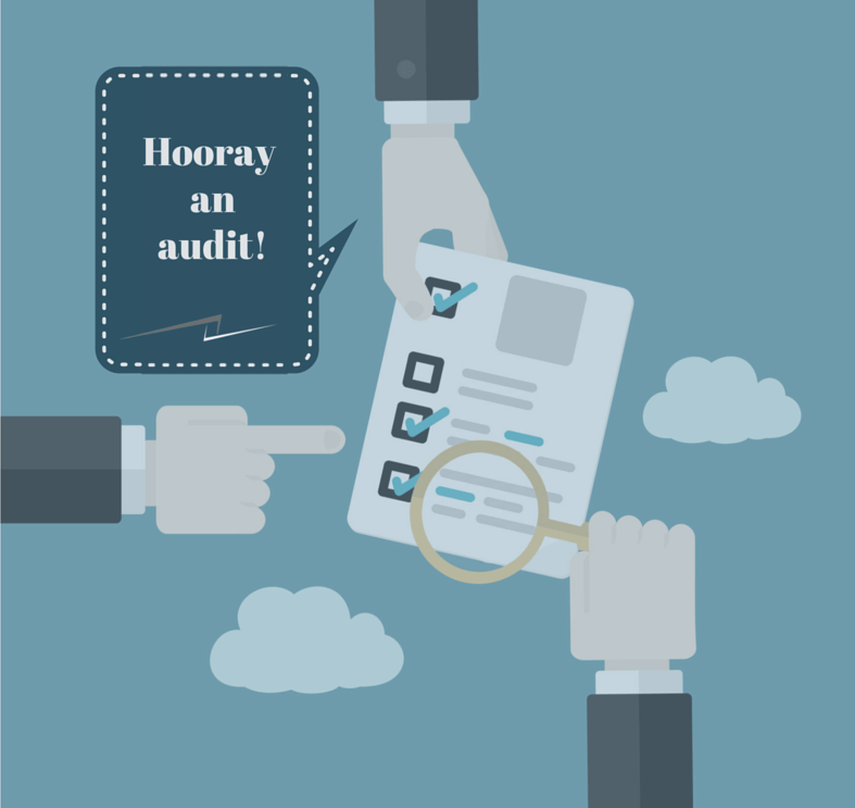 Will You Pass an ERP Implementation Audit?