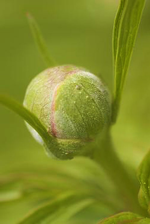 MEDITATION Astrological signs Events Full Moon Calendar