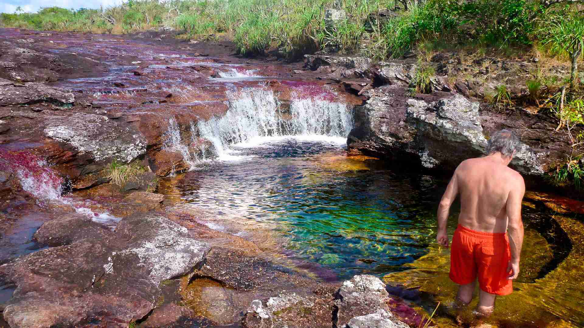 Vamos de excursión a Caño Cristales y al río de 7 colores
