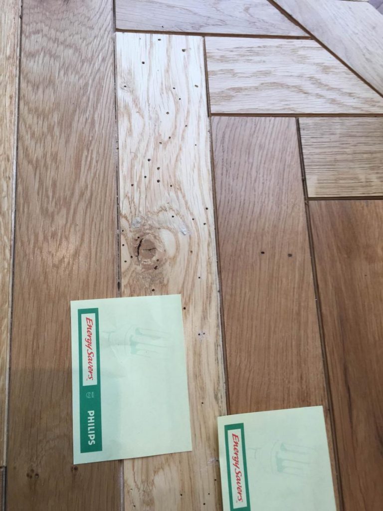 How To Treat Woodworm 5 Questions ESB Flooring