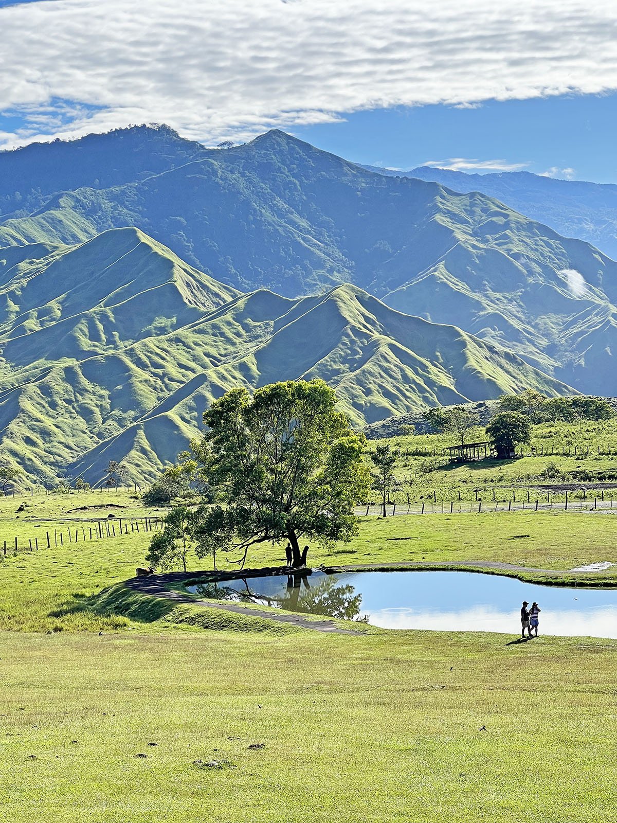 Bukidnon Communal Ranch How to Get There, Where to Eat and Stay