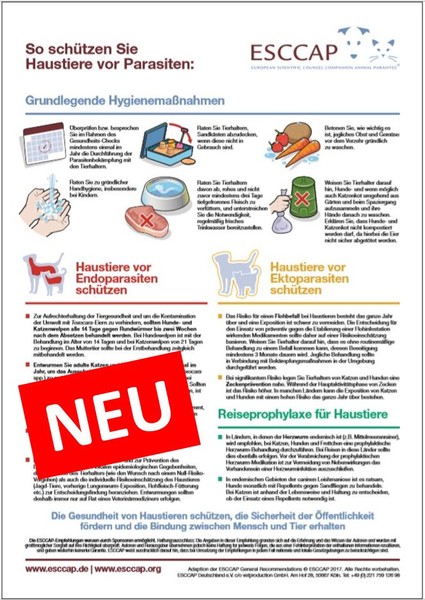 Auf unserer seite finden sie diverse informationen und haltungshinweise über tiere und haustiere. Haustiere Vor Parasiten Schutzen Esccap Deutschland