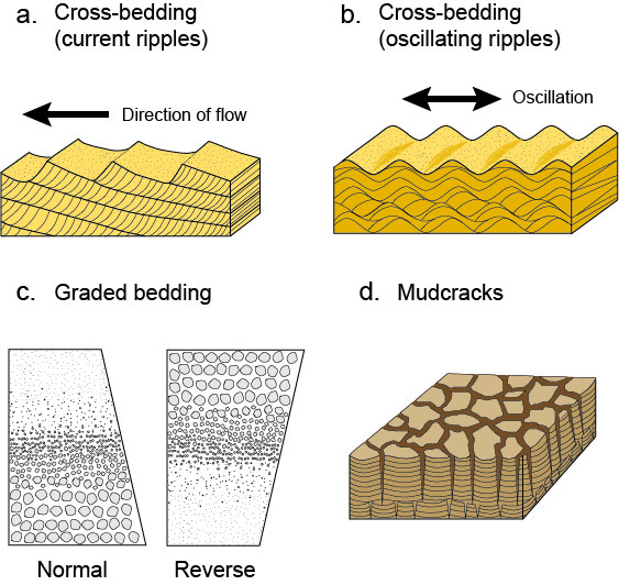 Sedimentary Rocks