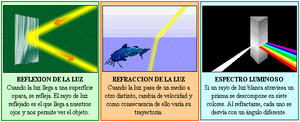 La Luz Colegiociencias
