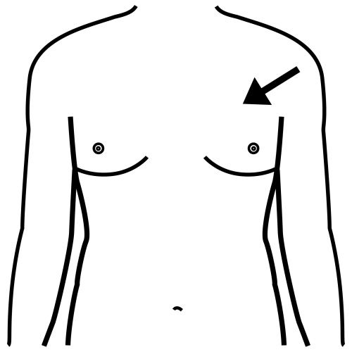 Pictogramas del cuerpo humano. Recursos para el aula