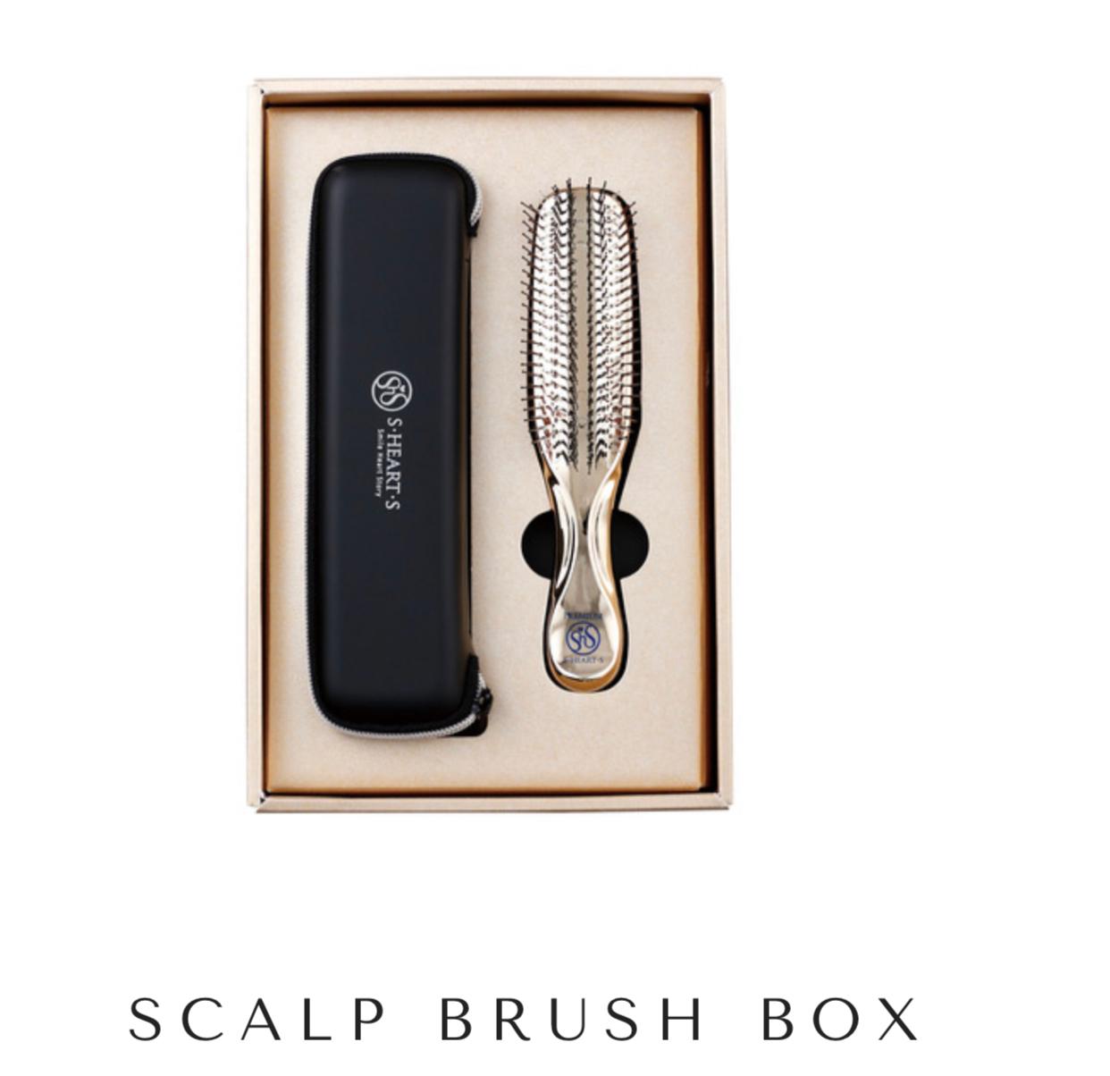 Scalp Brush Premium Box Long Effervosens