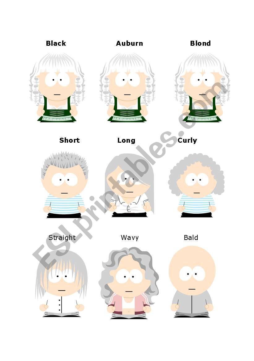 Hair types ESL worksheet by brenes_cyn