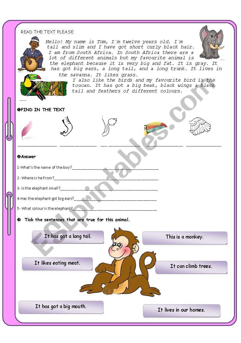 Animals test for elementary students - ESL worksheet by andreaewa