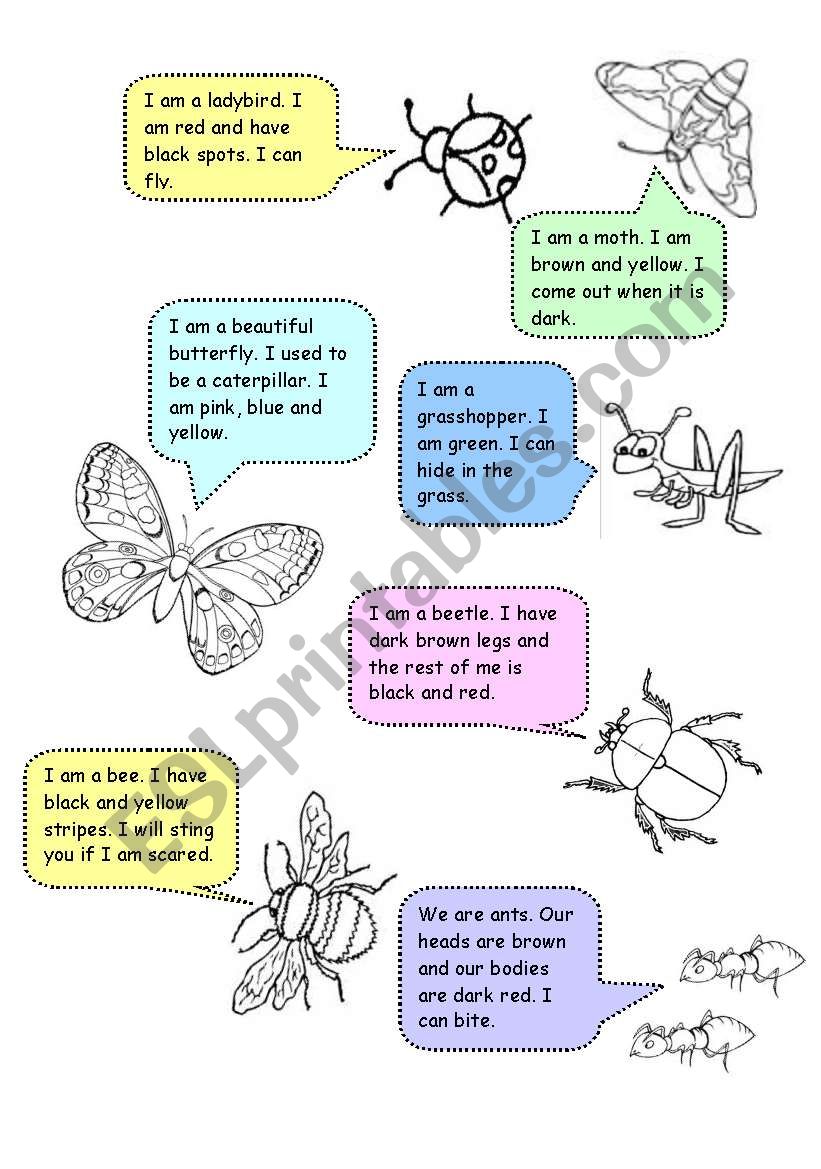 Insects ESL worksheet by RitaWi