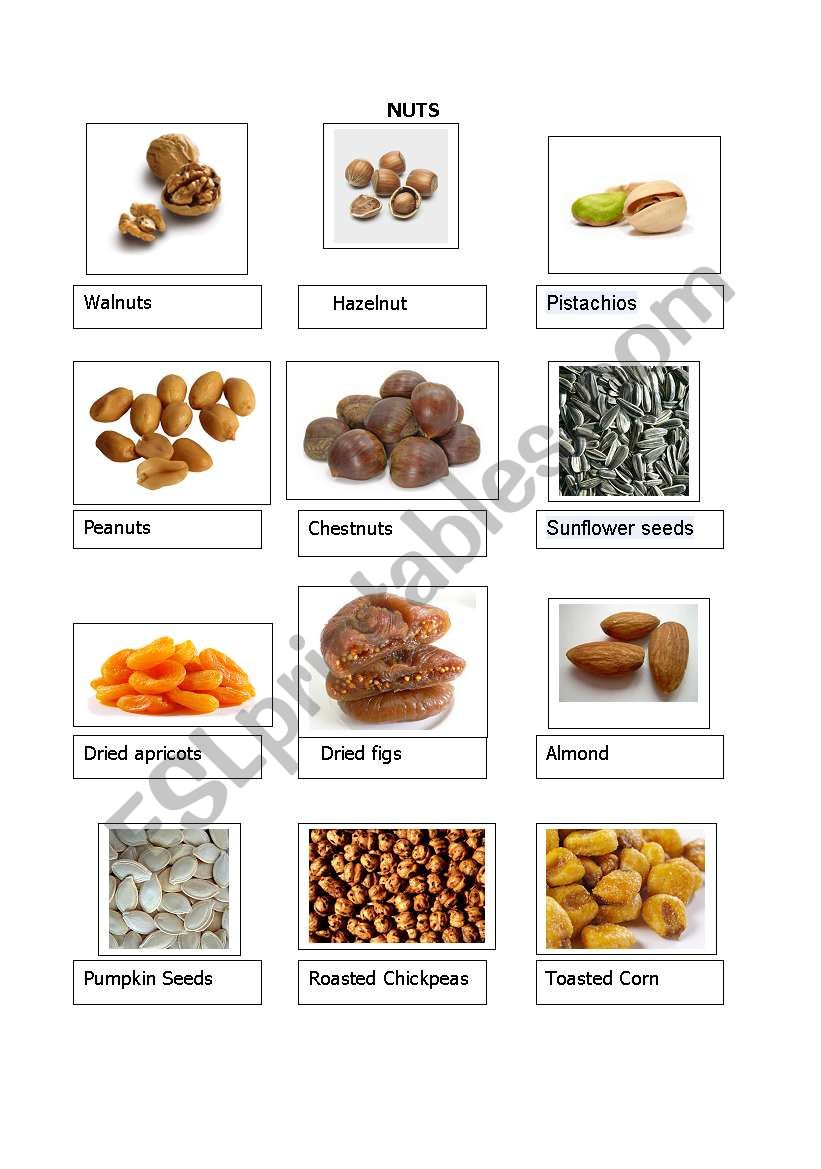 NUTS ESL worksheet by Ayşegül