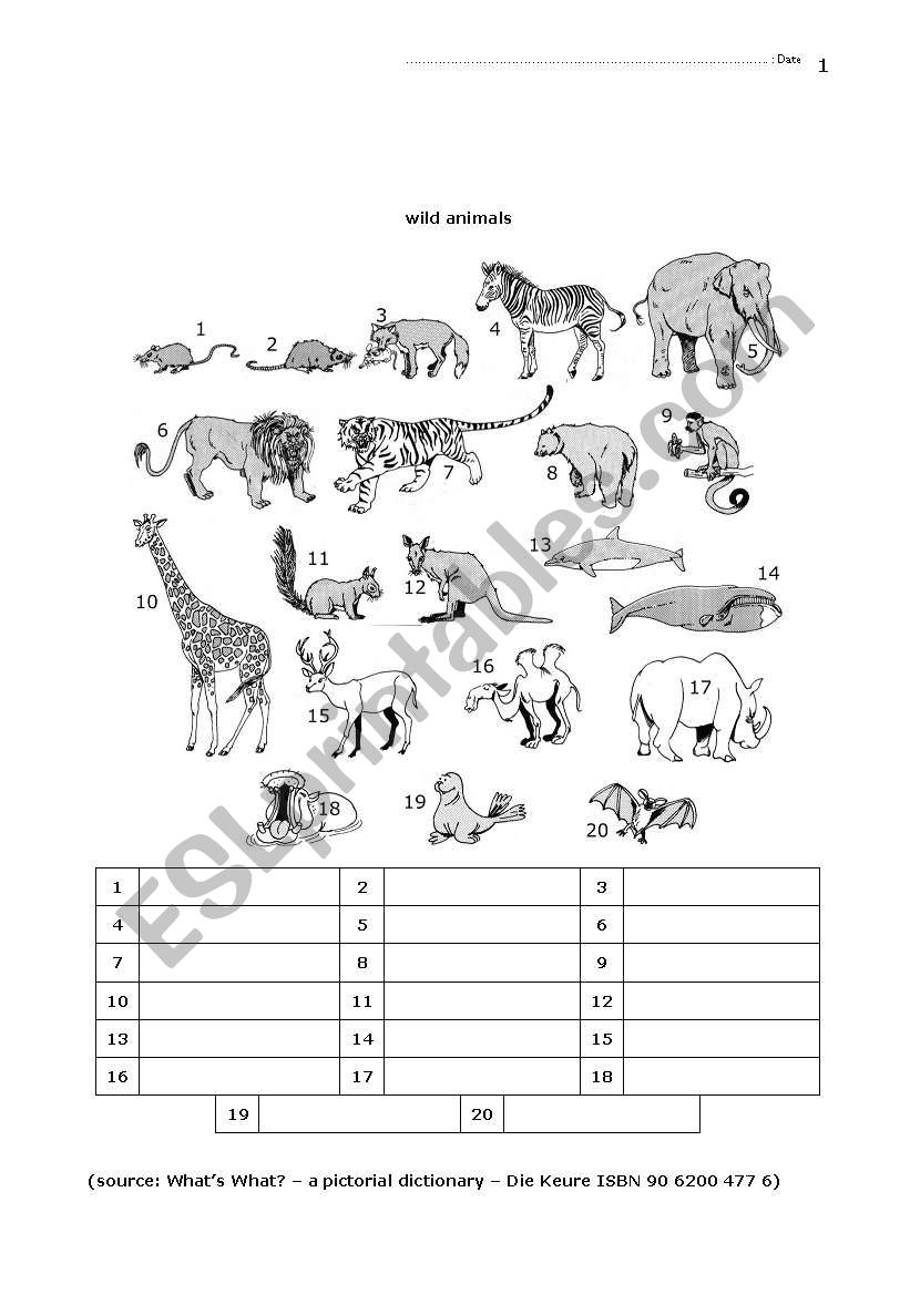 04 Elementary Animals - ESL worksheet by Velghe