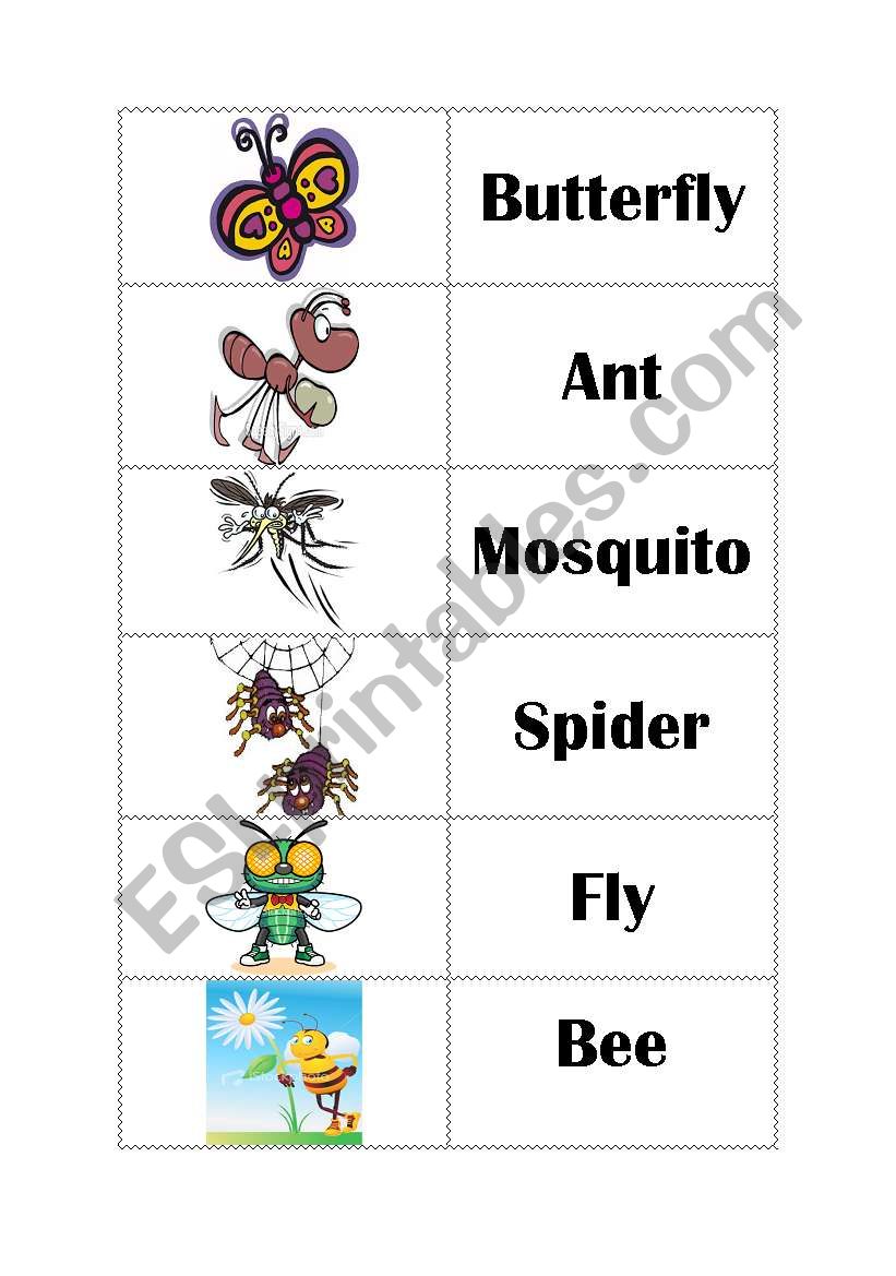Insects ESL worksheet by La Fishu