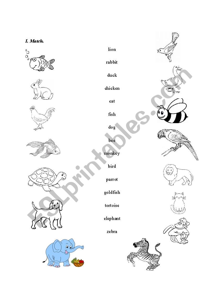 Animals exercise - ESL worksheet by titichichi