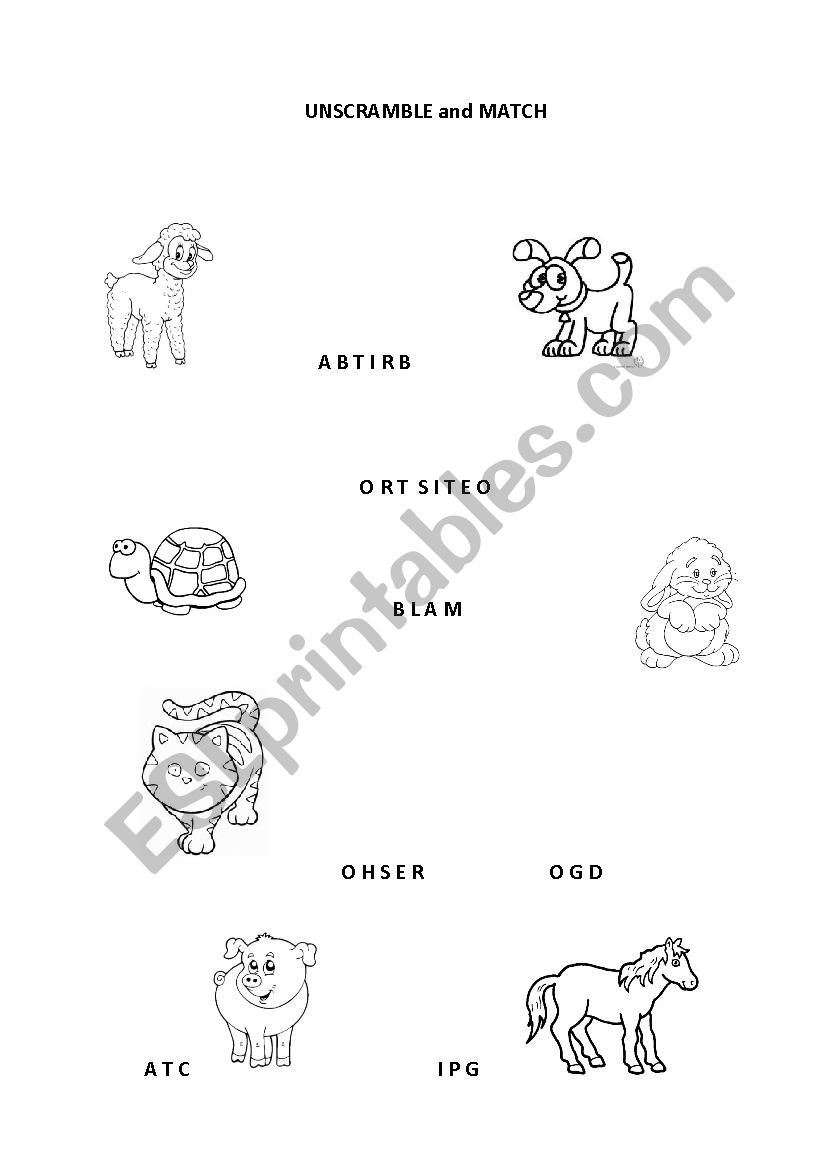 UNSCRAMBLE AND MATCH PETS ESL worksheet by Manuela79