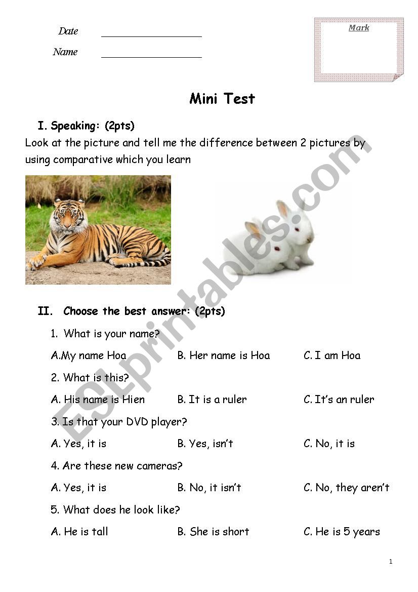 Mini Test Family and Friends 2 ESL worksheet by HanNhaVy
