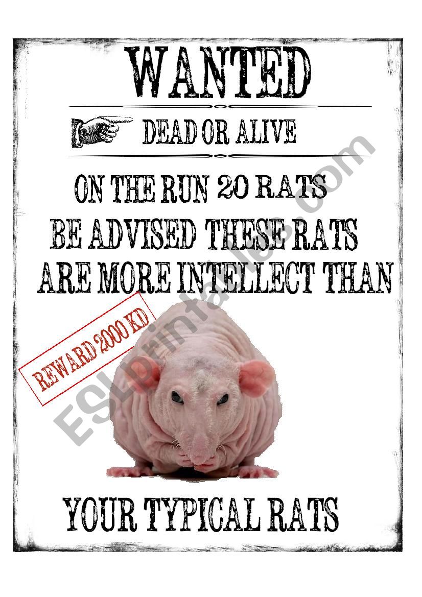 Rats ESL worksheet by Sara5