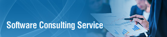Software Consulting Service USA Business And Technology