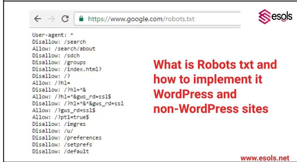 What is Robots txt WordPress and nonWordPress sites ESOLS