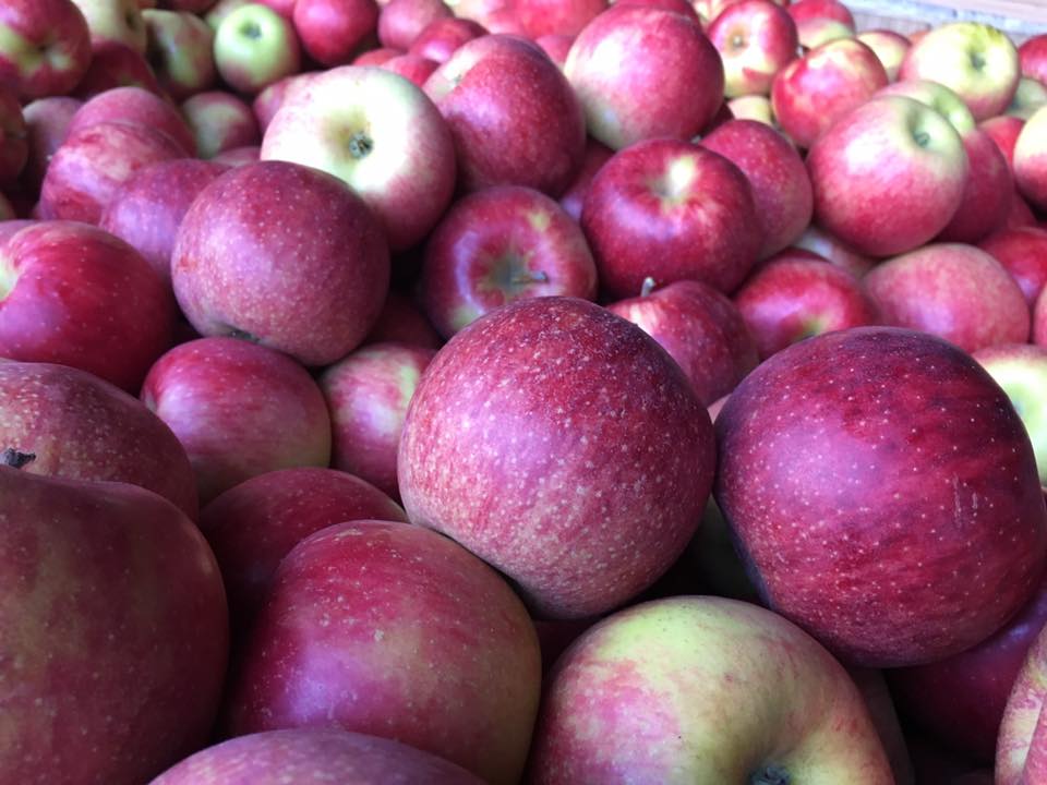 10 Things to Do During Headless Horseman Hayrides & Haunted Houses