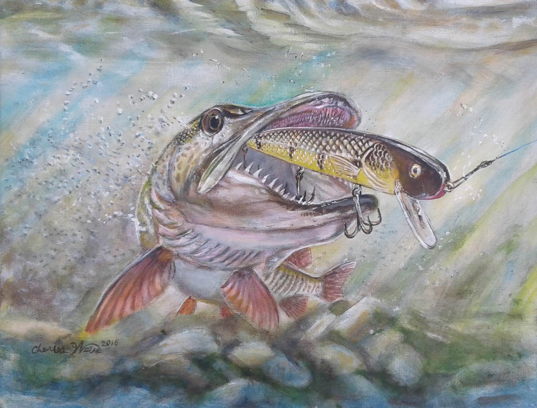 Drawing the Fishy side of Charles Weiss EsoxOnly Everything about Esox Fishing!