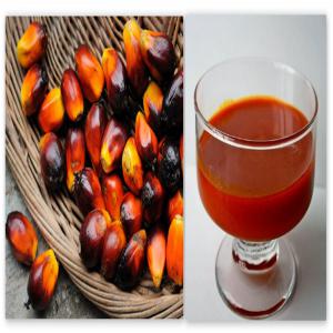 Huile De Palme Huile Rouge Cote D Ivoire Fabricant Recherche De