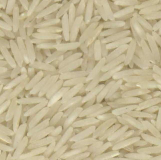 RIZ BLANC LONG GRAIN VIETNAM Africa Asie Europe Amerique